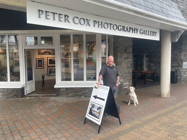 Gallery News