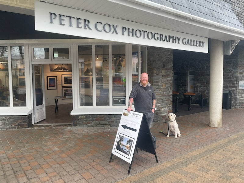 Gallery News