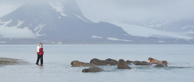Up Close and Very Personal in Svalbard