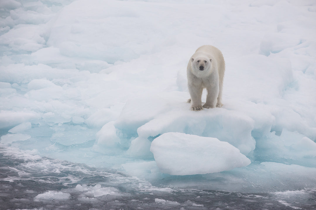 Svalbard