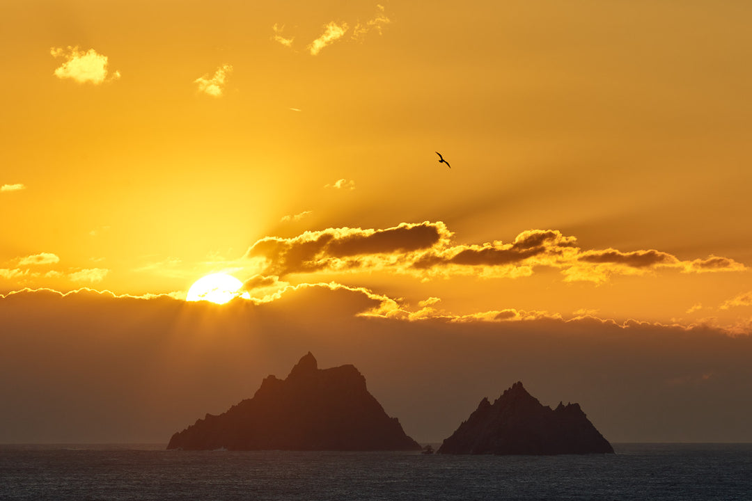 The Skelligs