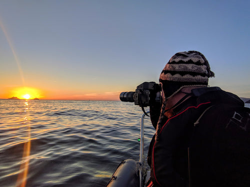 Captured in the Wild