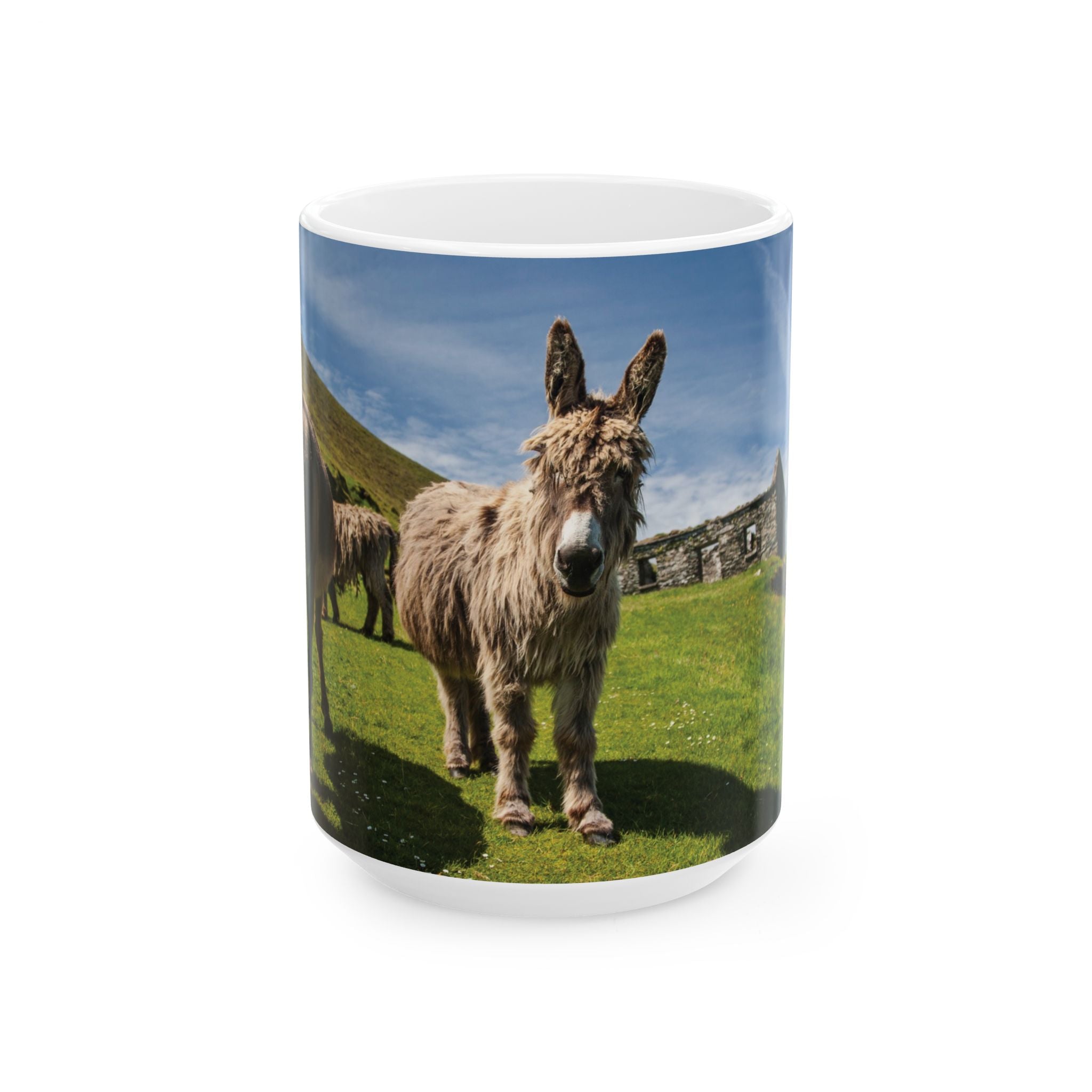 Mug - Donkeys on Great Blasket Island