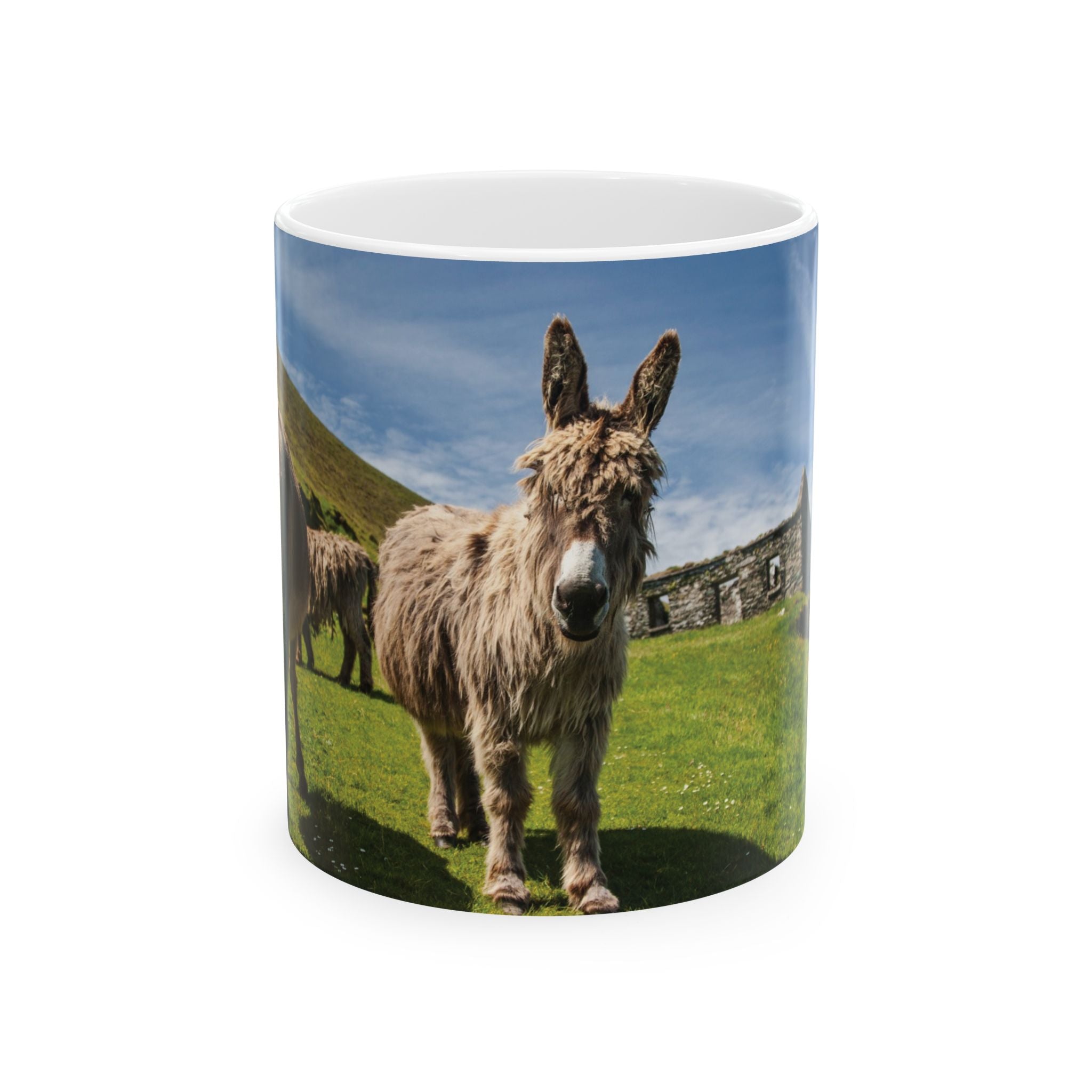 Mug - Donkeys on Great Blasket Island