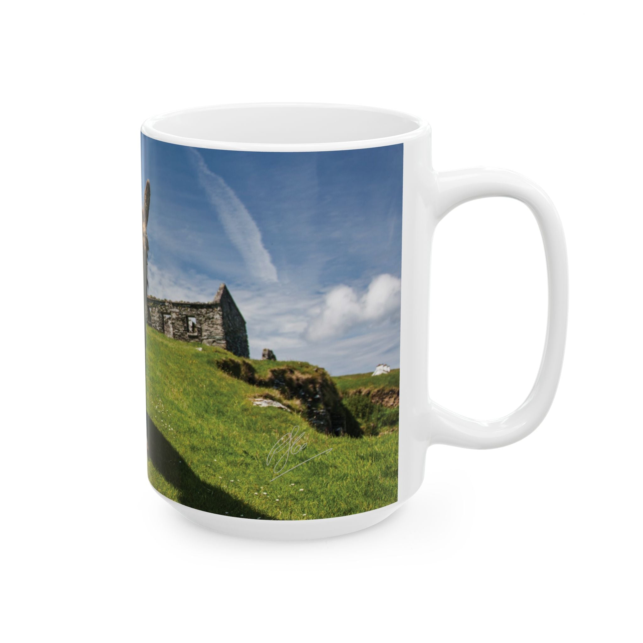Mug - Donkeys on Great Blasket Island