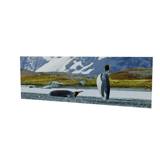 Penguin Pair, King Haakon Bay, South Georgia