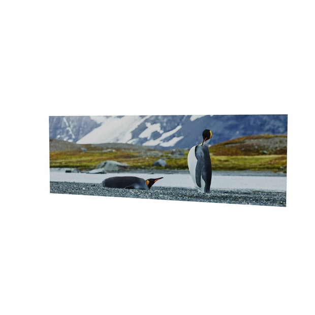 Penguin Pair, King Haakon Bay, South Georgia