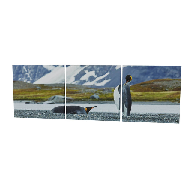 Penguin Pair, King Haakon Bay, South Georgia