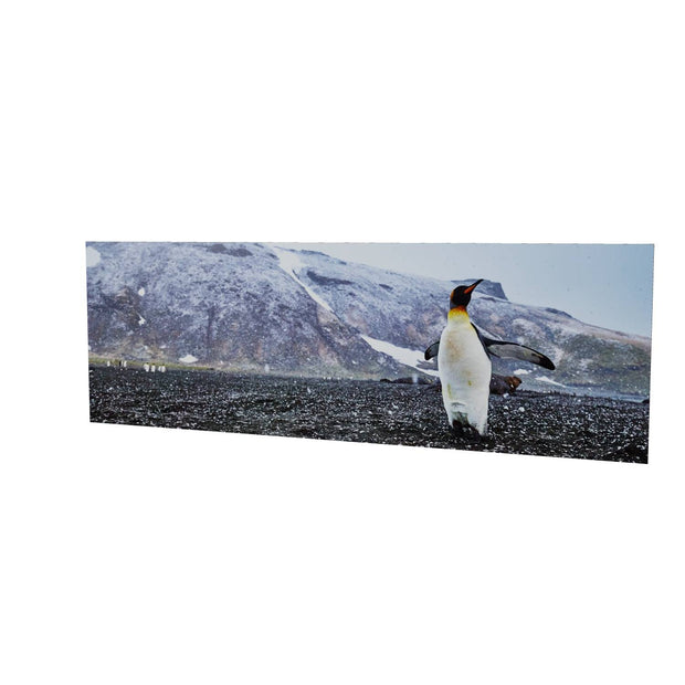 Snow Day, St. Andrew's Bay, South Georgia - Fine Art Print