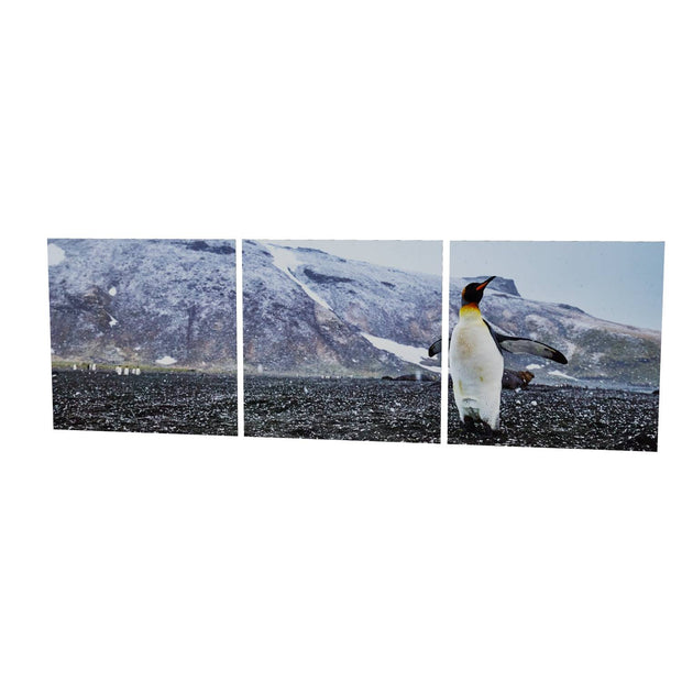 Snow Day, St. Andrew's Bay, South Georgia - Fine Art Print