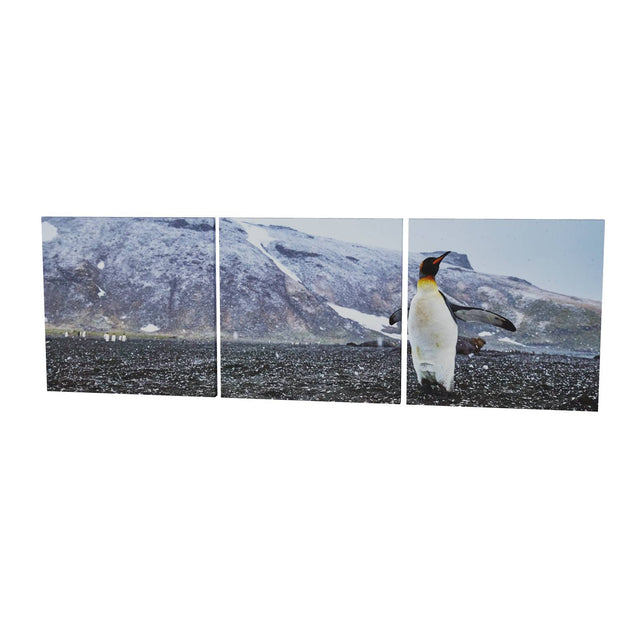 Snow Day, St. Andrew's Bay, South Georgia - Fine Art Print