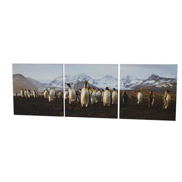 The March of the Penguins, St. Andrew's Bay, South Georgia - Fine Art Print