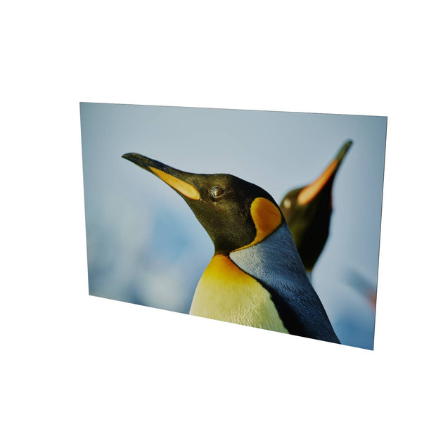 Penguin Reflections, St. Andrew's Bay, South Georgia - Fine Art Print