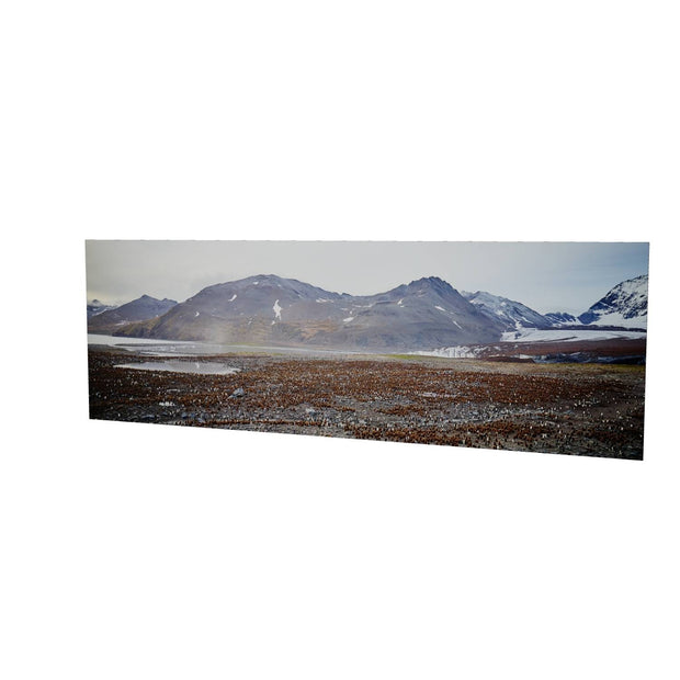 King Penguin Colony, St. Andrew's Bay, South Georgia - Fine Art Print