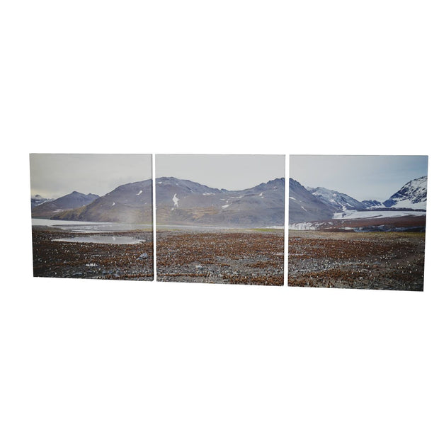 King Penguin Colony, St. Andrew's Bay, South Georgia - Fine Art Print