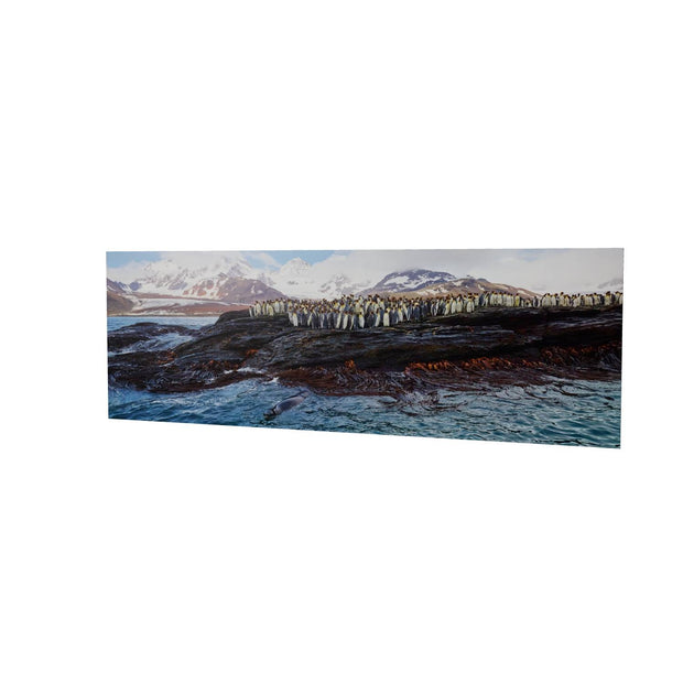 Penguins and Leopard Seal, St. Andrew's Bay, South Georgia - Fine Art Print