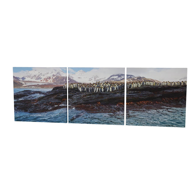 Penguins and Leopard Seal, St. Andrew's Bay, South Georgia - Fine Art Print
