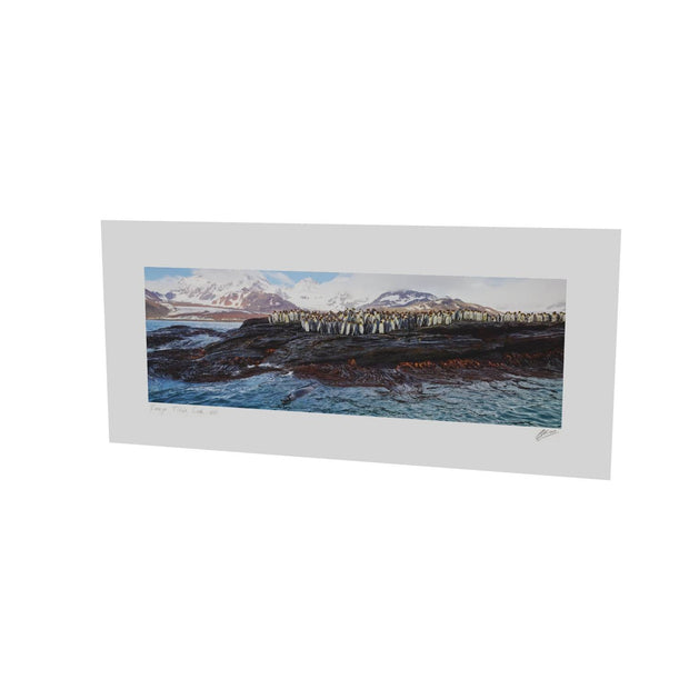 Penguins and Leopard Seal, St. Andrew's Bay, South Georgia - Fine Art Print