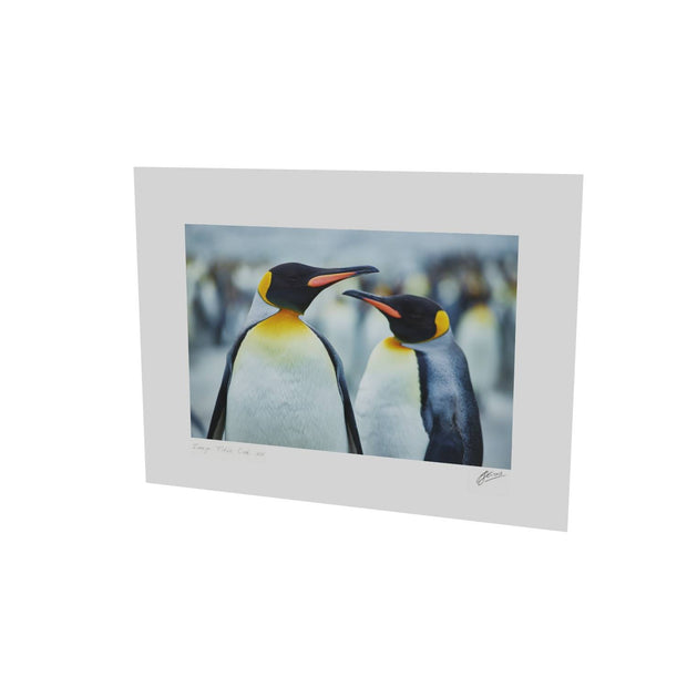 The Sly Eye, South Georgia - Fine Art Print