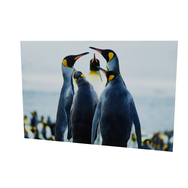 Penguin Conference, Gold Harbour, South Georgia - Fine Art Print