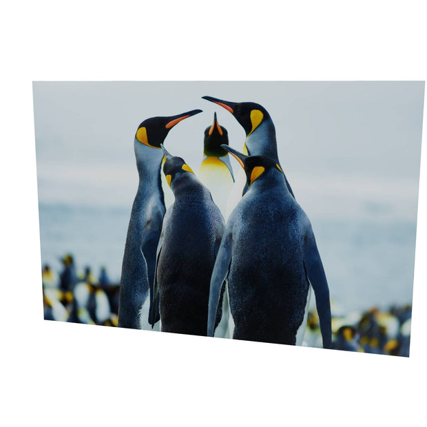 Penguin Conference, Gold Harbour, South Georgia - Fine Art Print