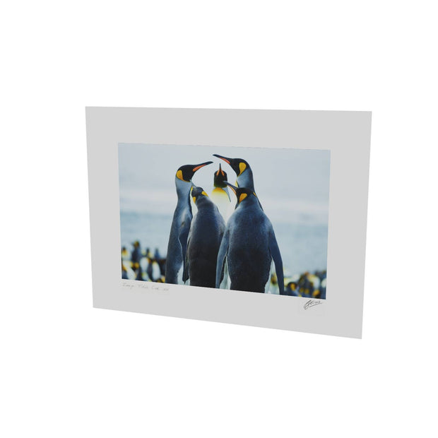 Penguin Conference, Gold Harbour, South Georgia - Fine Art Print