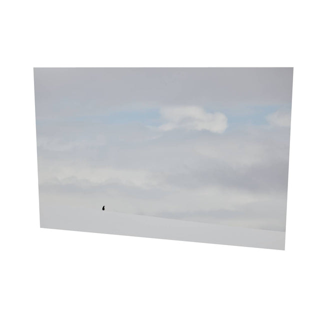 Lone Penguin, Cuverville Island, Antarctic Peninsula