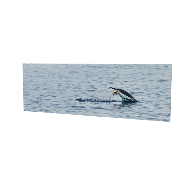 Diving Penguin, Cuverville Island, Antarctic Peninsula