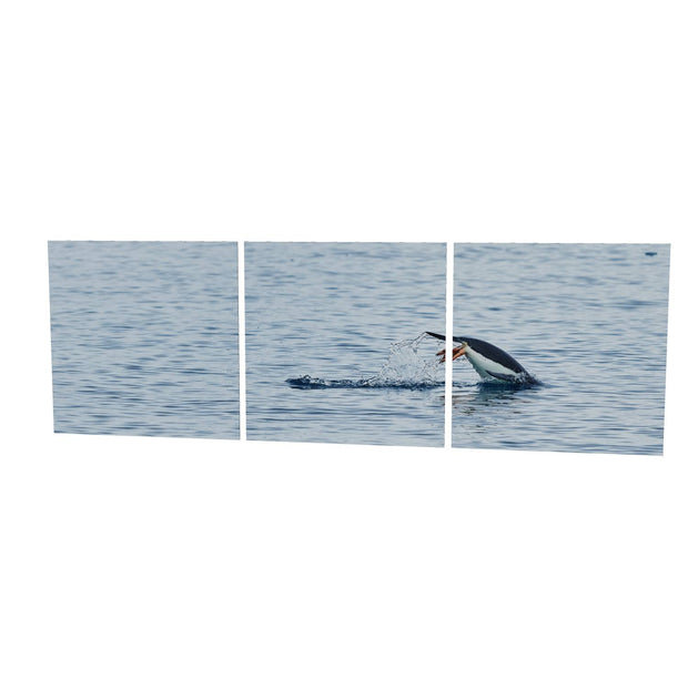 Diving Penguin, Cuverville Island, Antarctic Peninsula