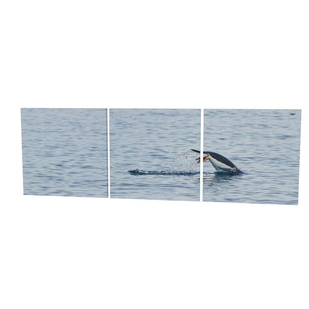 Diving Penguin, Cuverville Island, Antarctic Peninsula