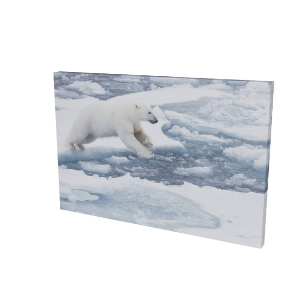 Polar Bear Leaping, Barents Sea