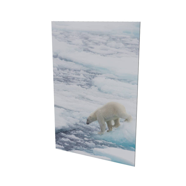 Polar Bear on Sea Ice II, Barents Sea