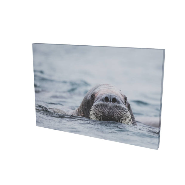 Walrus II, Svalbard