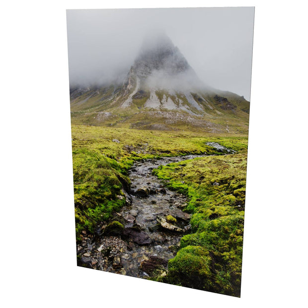 Alkhornet, Svalbard