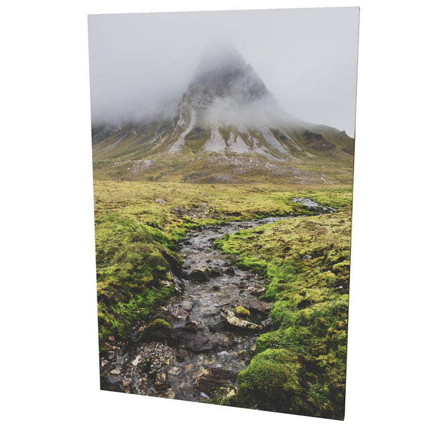 Alkhornet, Svalbard