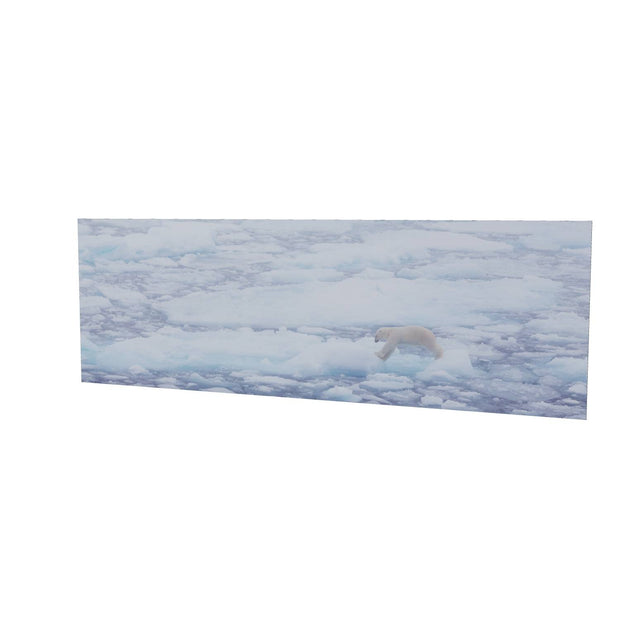 Polar Bear Crossing Sea Ice, Barents Sea