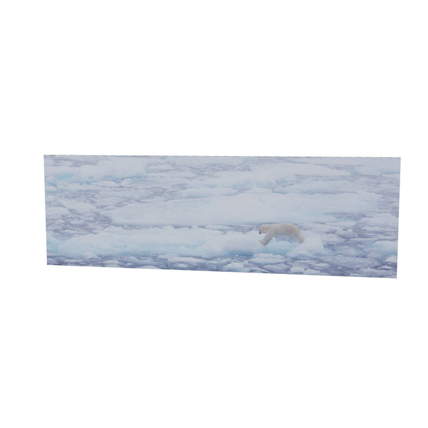 Polar Bear Crossing Sea Ice, Barents Sea