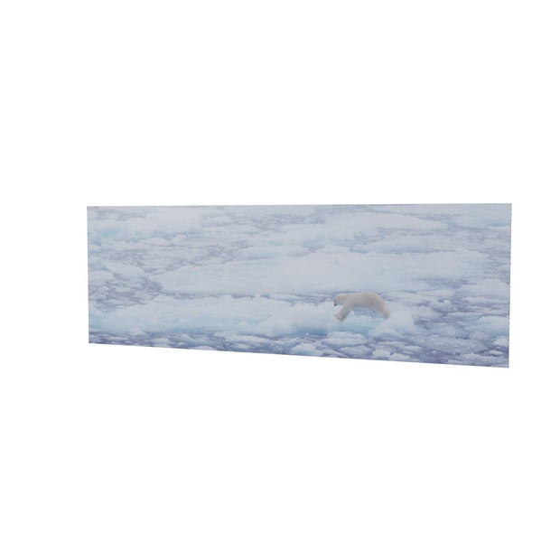 Polar Bear Crossing Sea Ice, Barents Sea