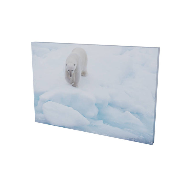 Polar Bear Approaching, Barents Sea