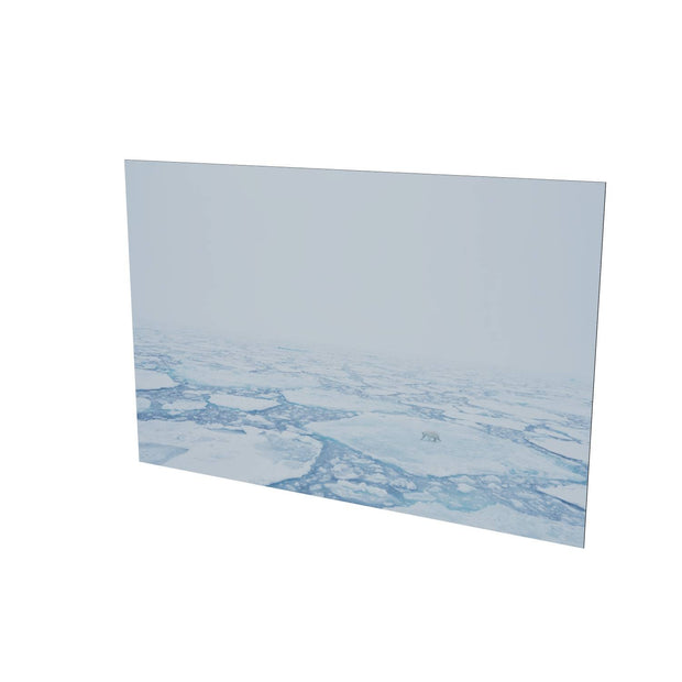 Polar Bear in the Mist, Barents Sea