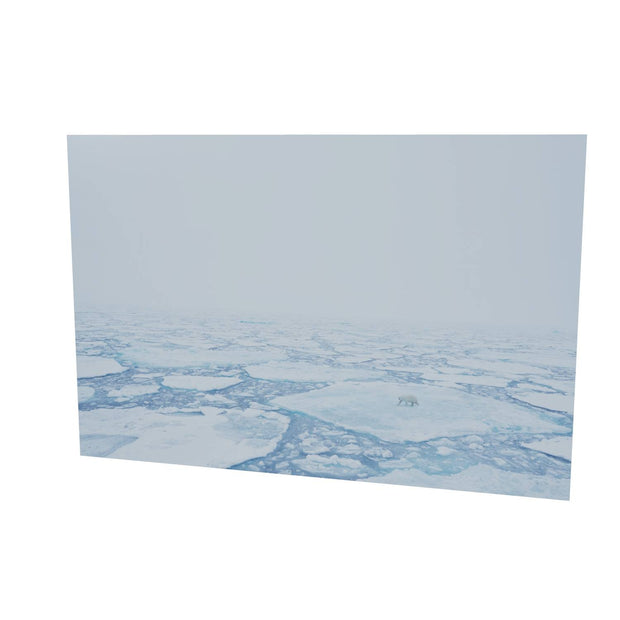 Polar Bear in the Mist, Barents Sea
