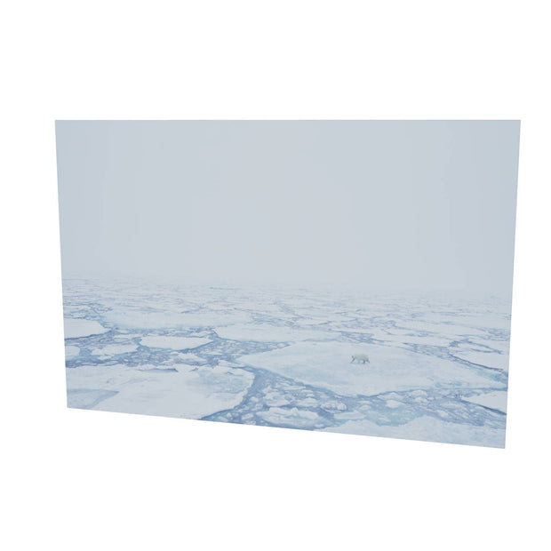 Polar Bear in the Mist, Barents Sea