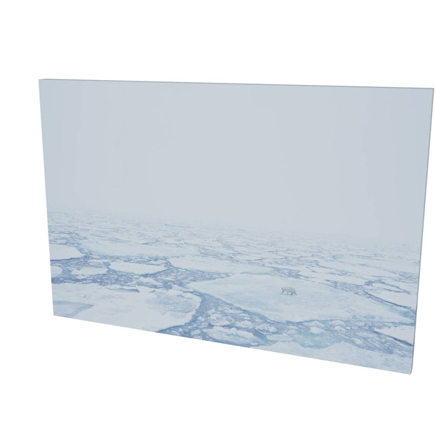 Polar Bear in the Mist, Barents Sea