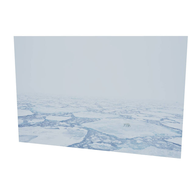 Polar Bear in the Mist, Barents Sea