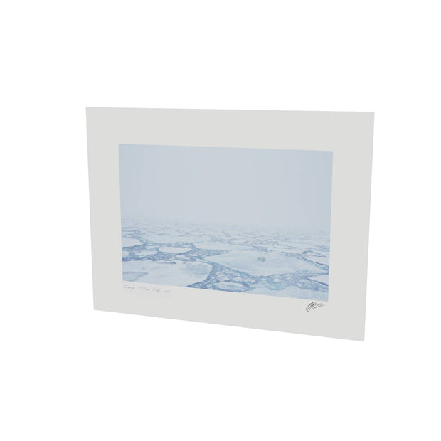 Polar Bear in the Mist, Barents Sea
