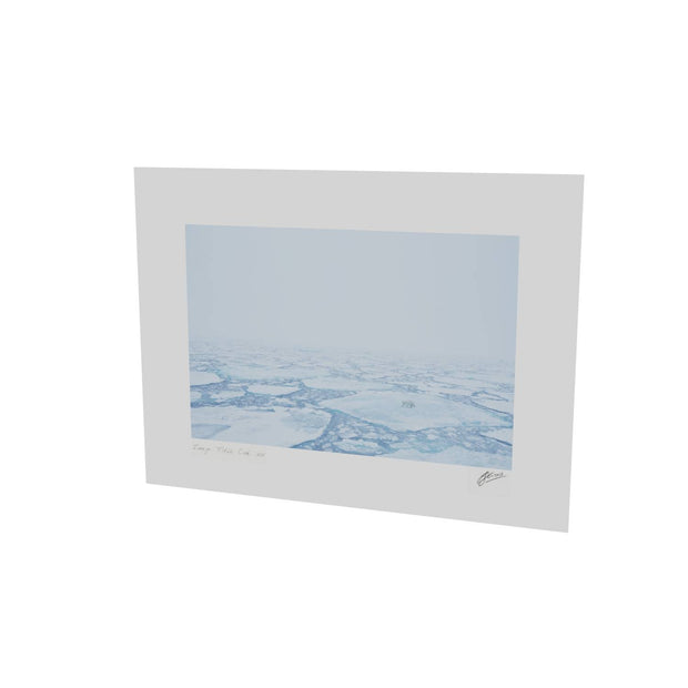 Polar Bear in the Mist, Barents Sea