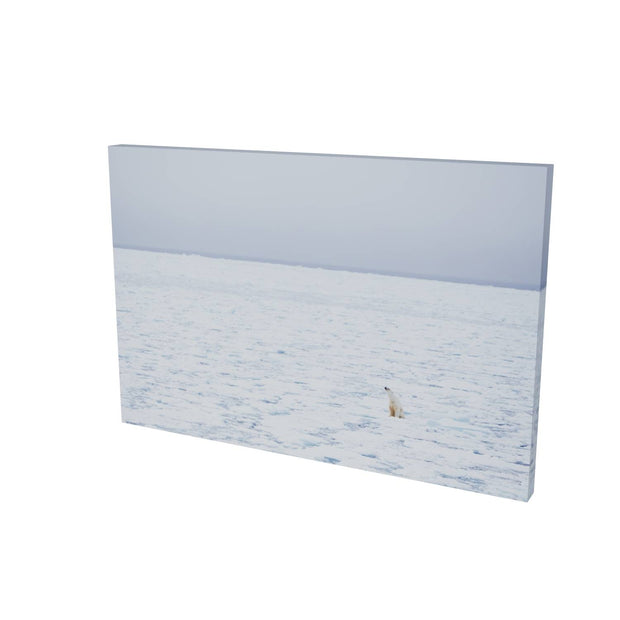 Sitting Polar Bear, Barents Sea