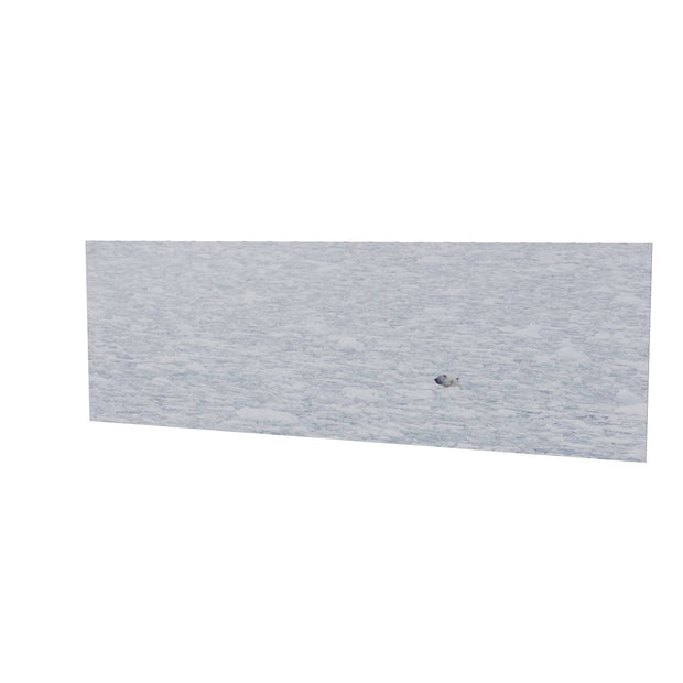 Polar Bear Plunge, Barents Sea