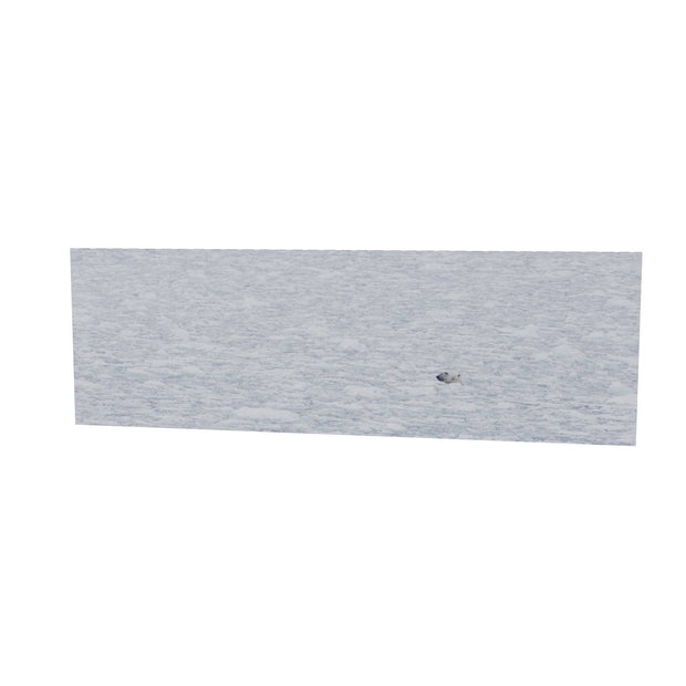 Polar Bear Plunge, Barents Sea