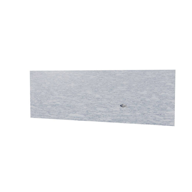 Polar Bear Plunge, Barents Sea